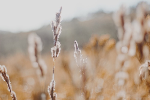 Maria Alejandra Vazquez