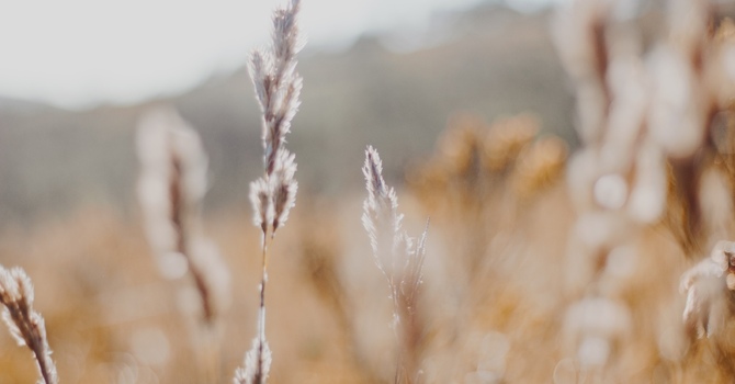 Free 15-Minute Initial Consultation